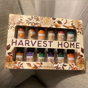 12 Piece EssentialOil Set